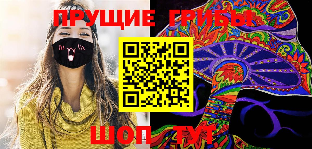 Псилоцибиновые грибы мицелий Кимовск