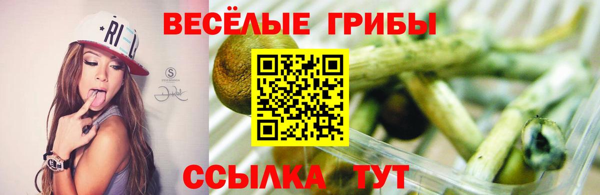Кимовск  Псилоцибиновые грибы Cubensis  Вход с VPN 